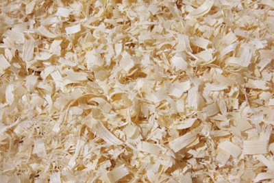 Wood Shavings